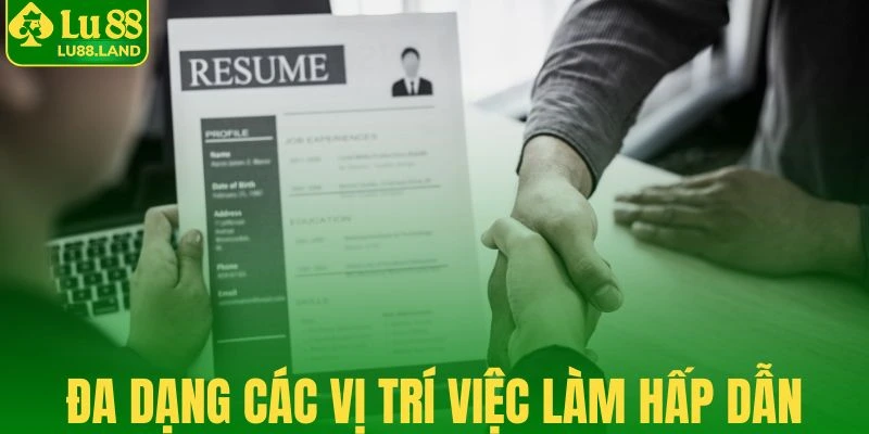 Đa dạng các vị trí hấp dẫn mà nền tảng tuyển dụng