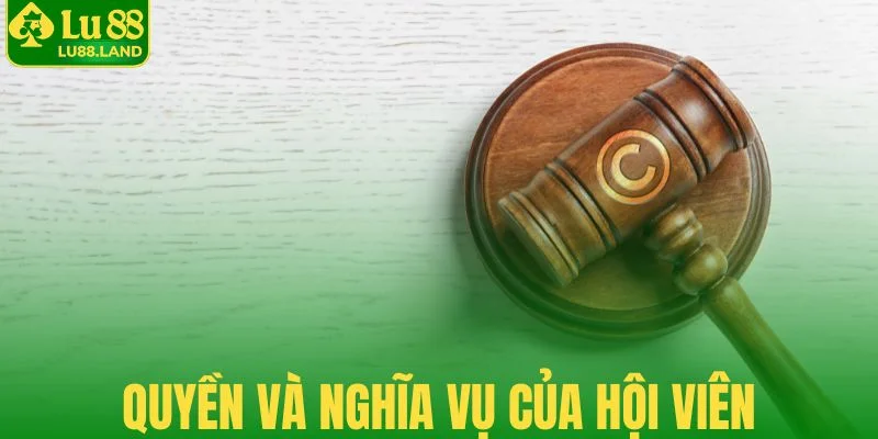 Quyền và nghĩa vụ của hội viên với quy định bản quyền